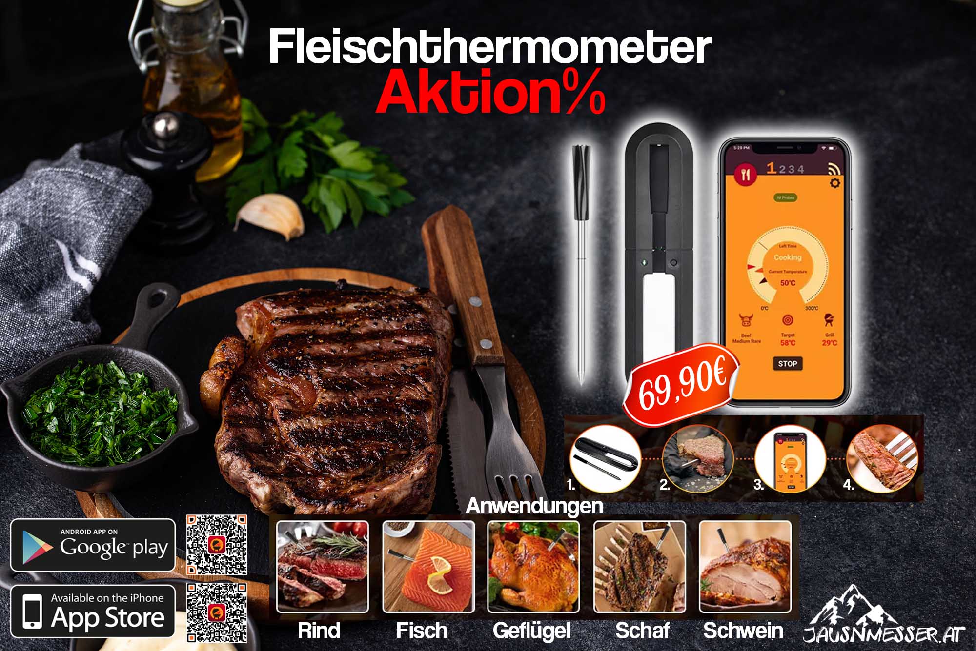 Jausnmesser Fleischthermometer inkl. App (IOS und Android) TH12